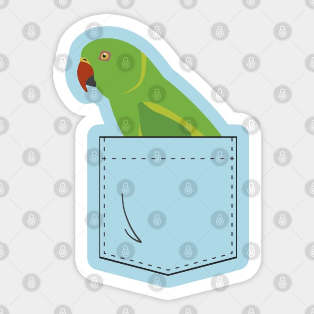 Indian Ringneck Parakeet Parrot Female Front Pocket Sticker by Einstein Parrot